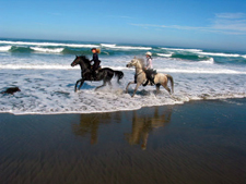 USA-California-Redwood Coast Ride